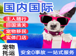 兴义万峰林航空邮寄国际宠物托运 【国
